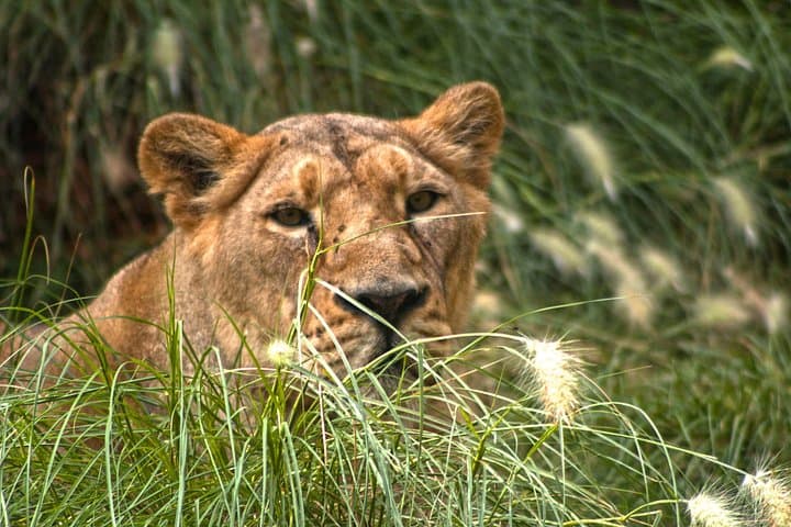 Terra Natura Benidorm: An Immersive Zoo Experience on Spain’s Costa Blanca photo 1