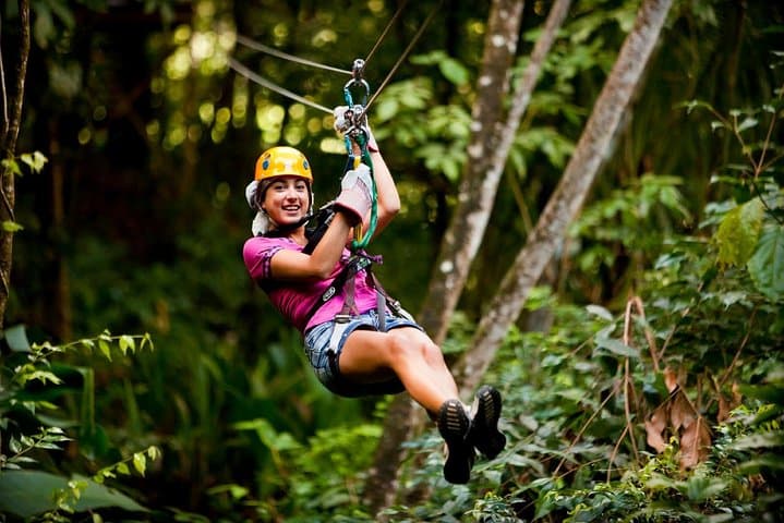 Antigua Zipline and Mangrove Kayak Combo from St. John's — Rainforest to Reef in One Day