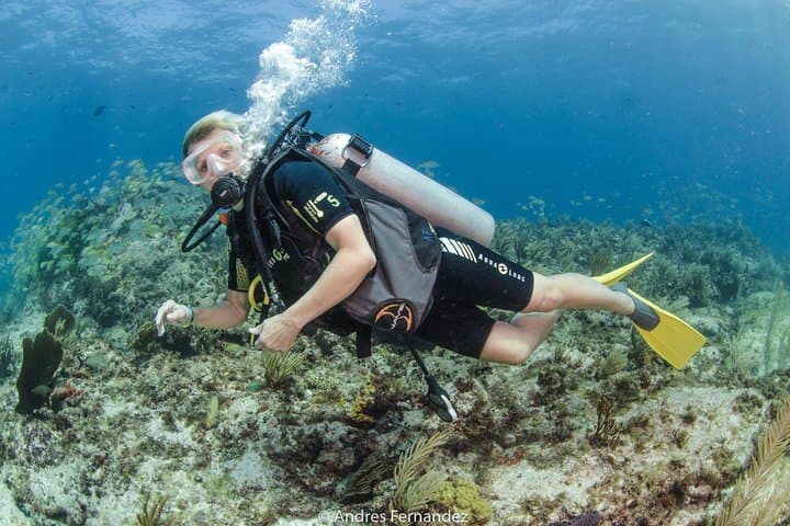 Beginner Scuba in Isla Mujeres: MUSA & Manchones Reef Discover Scuba photo 3