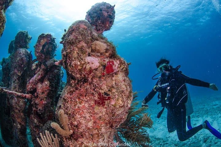 Beginner Scuba in Isla Mujeres: MUSA & Manchones Reef Discover Scuba photo 5
