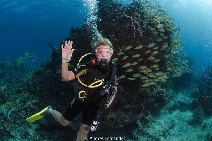 Beginner Scuba in Isla Mujeres: MUSA & Manchones Reef Discover Scuba photo 6