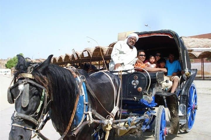 Horse Carriage Ride in Aswan: Corniche, Old Cataract & Local Souk photo 6