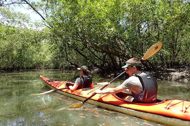 Paraty Sea Kayak Trip: 2-Day Kayaking to Vermelha Beach & Mangroves photo 5