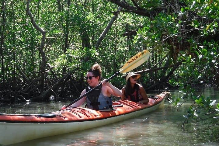 Paraty Sea Kayak Trip: 2-Day Kayaking to Vermelha Beach & Mangroves photo 6
