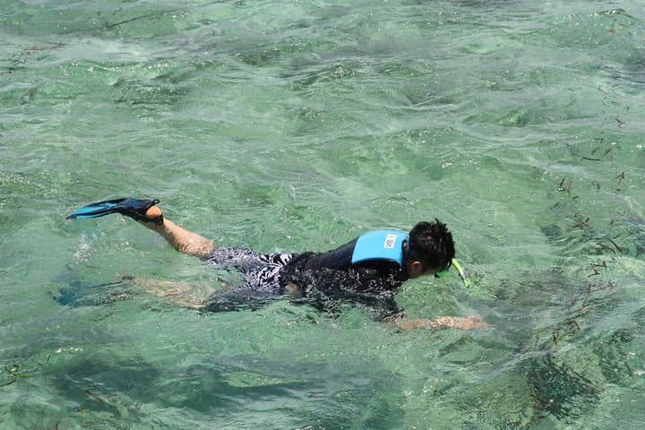 Surin Islands Snorkeling Escape from Khao Lak: Day Trip to Pristine Coral Reefs photo 4