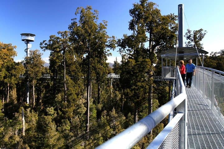 Hokitika Gorge & Tree Top Walkway: West Coast’s Turquoise Rivers and Canopy Heights photo 2