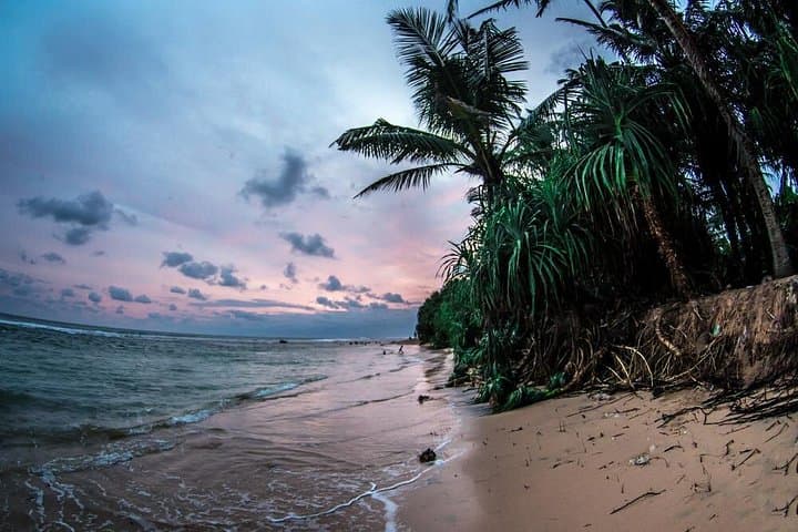 Sri Lanka 11-Day Coastal Adventure: Beaches, Whales & Yala Safari photo 1