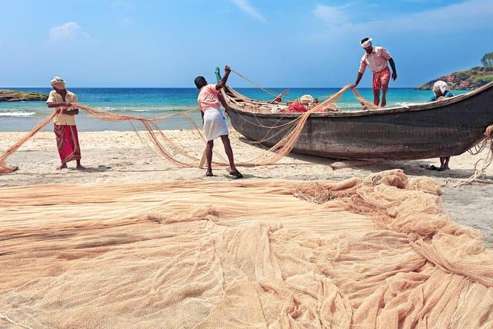 Sri Lanka 11-Day Coastal Adventure: Beaches, Whales & Yala Safari photo 3