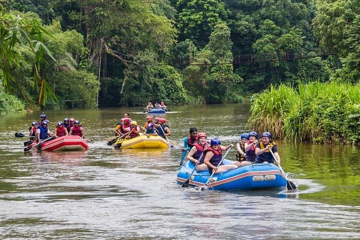 Four-Day Sri Lanka Private Tour: Yala Safari, Ella Hikes & Southern Beaches photo 4