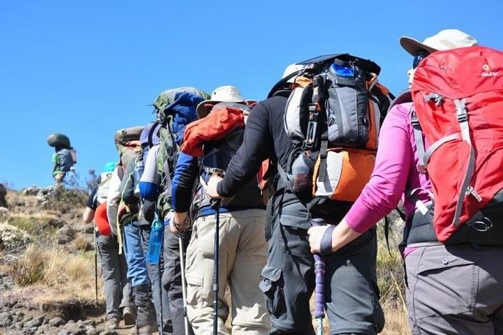 Mt Kilimanjaro Short Trek to Mandara Hut — Day Hike from Arusha