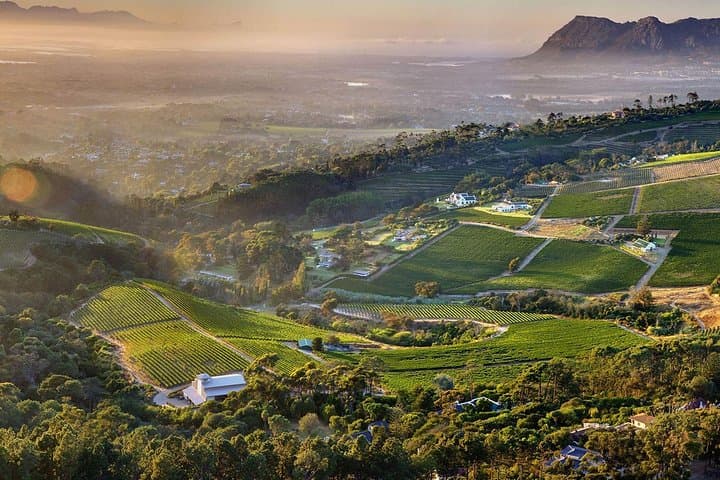 Cape Point & Constantia Wine Tour — Private Full-Day Cape Town Experience