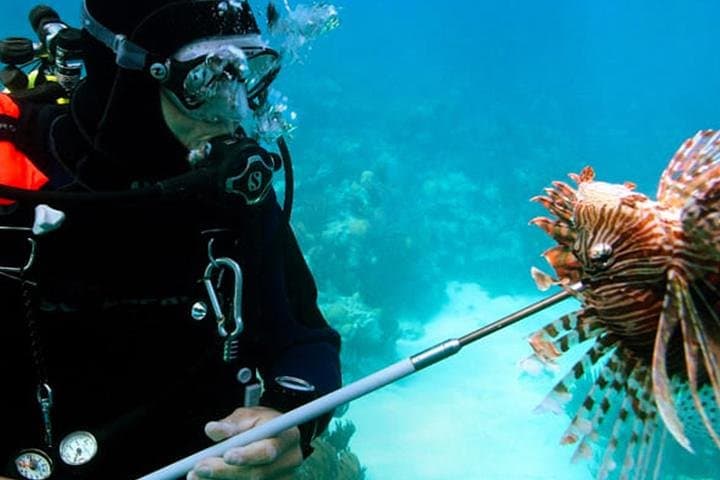 Roatan Sustainable Lionfish Spearfishing Dive — Catch, Learn, and Eat photo 3