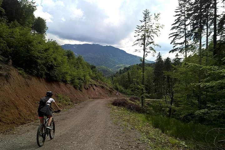 Perfect Bike Tour Around Brasov: Cristian Monastery & Secular Oak Forest photo 5