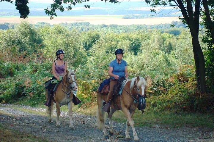 Horseback Riding in Picardie — 2-Hour Countryside Ride from Paris to Lille photo 2