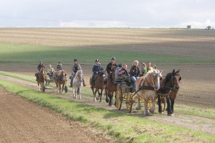 Horseback Riding in Picardie — 2-Hour Countryside Ride from Paris to Lille photo 3