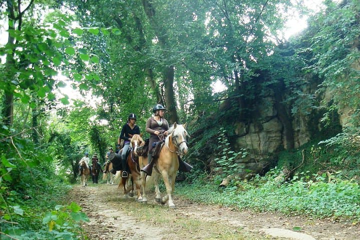 Horseback Riding in Picardie — 2-Hour Countryside Ride from Paris to Lille