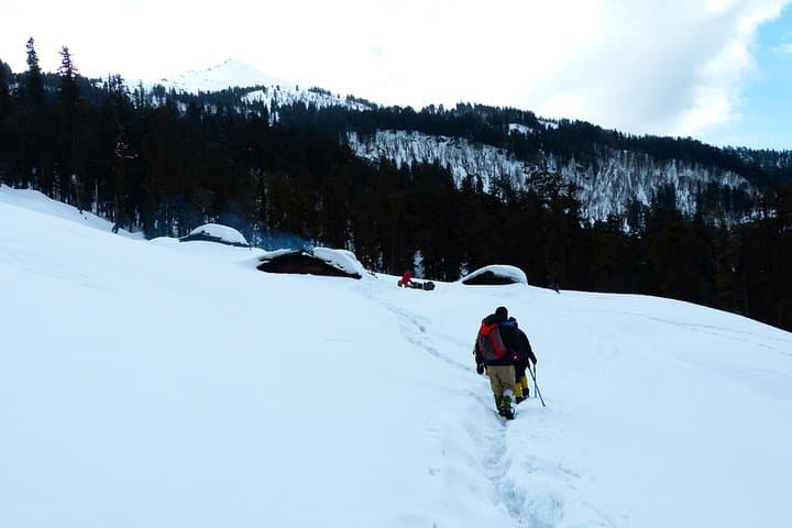 Kedarkantha Trek: 5-Day Sankri-to-Summit Alpine Trek in Uttarakhand