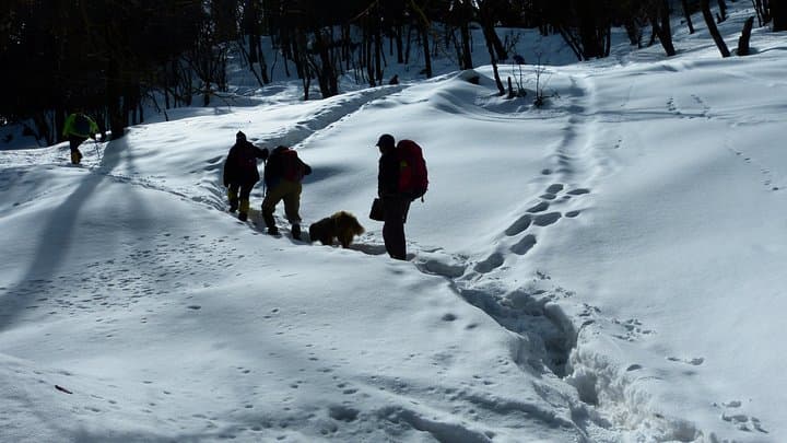 Kedarkantha Trek: 5-Day Sankri-to-Summit Alpine Trek in Uttarakhand photo 2