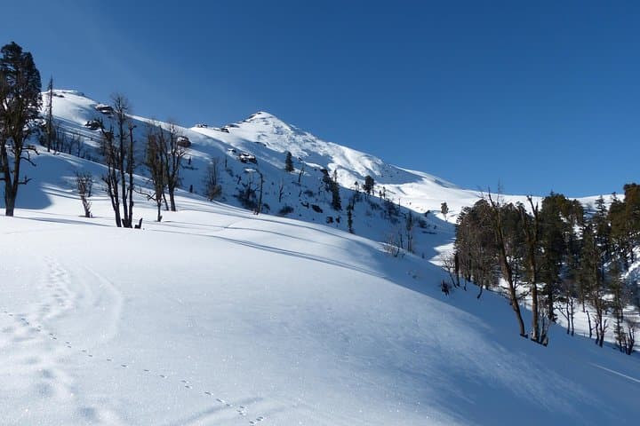 Kedarkantha Trek: 5-Day Sankri-to-Summit Alpine Trek in Uttarakhand photo 4