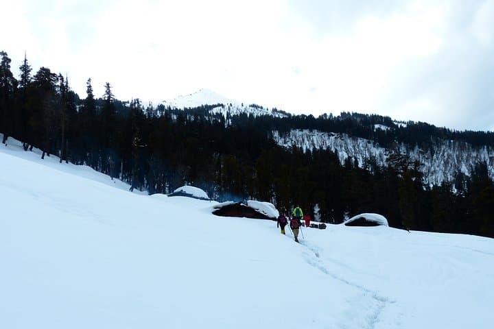 Kedarkantha Trek: 5-Day Sankri-to-Summit Alpine Trek in Uttarakhand photo 6