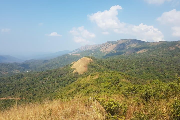 Half-Day Guided Trek in Madikeri: Rainforest to Peak in 4 Hours photo 4