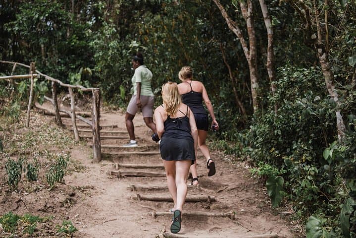Tet Paul Nature Trail: Short Hike with Panoramic Pitons Views in St. Lucia photo 4