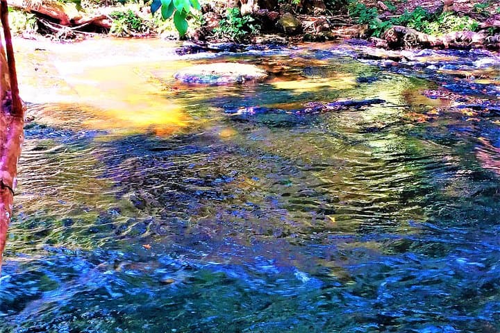 Phnom Kulen 1000 Lingas Waterfall: Private Siem Reap Day Tour photo 4