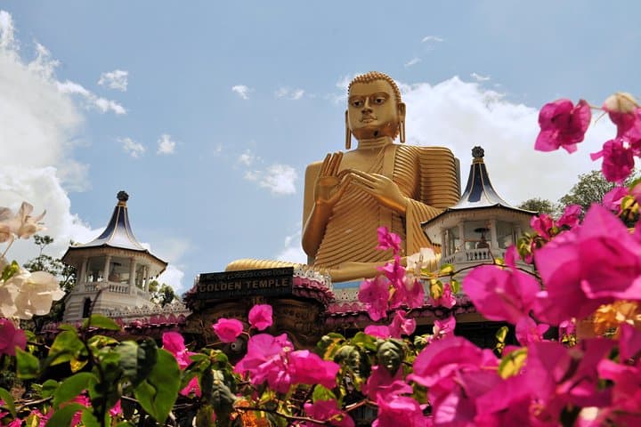 6-Day Sri Lanka Heritage Private Tour — Sigiriya, Kandy & Nuwara Eliya photo 4