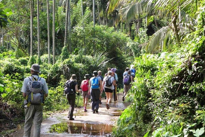Overnight in Meemure: Camping & Waterfall Trek in Sri Lanka's Knuckles Range