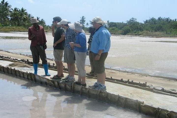 Tanga Salt Pans & Tanga Fresh Dairy Factory Tour — Half-Day Cultural Visit