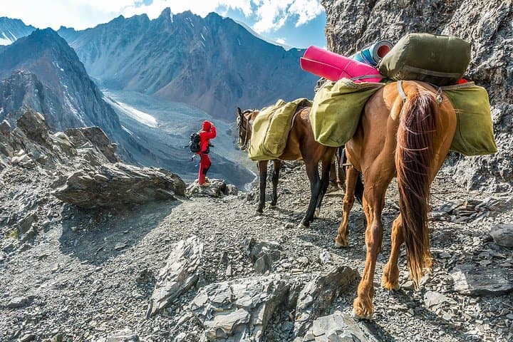 Alay Mountains Trek: 8-Day High-Altitude Yurt Trek to Jiptick & Sary Mogul Passes photo 4