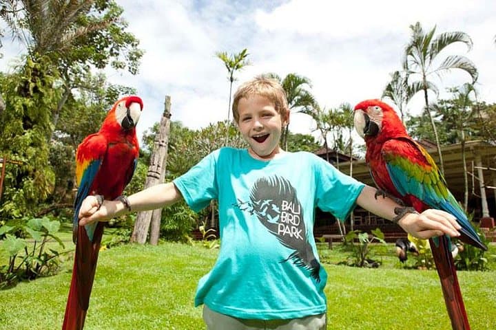 Bali Bird Park Admission with Hotel Transfer — Bird Shows, Breeding Programs & Tropical Gardens photo 3