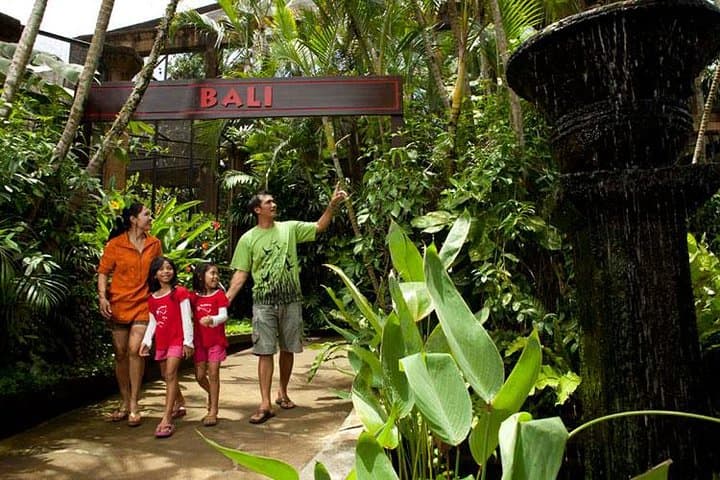 Bali Bird Park Admission with Hotel Transfer — Bird Shows, Breeding Programs & Tropical Gardens photo 6