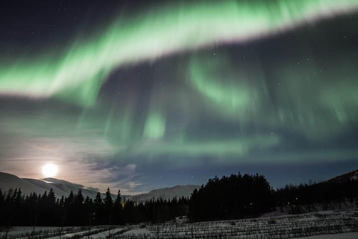 Aurora Hunt: Northern Lights MiniBus Tour from Akureyri photo 2