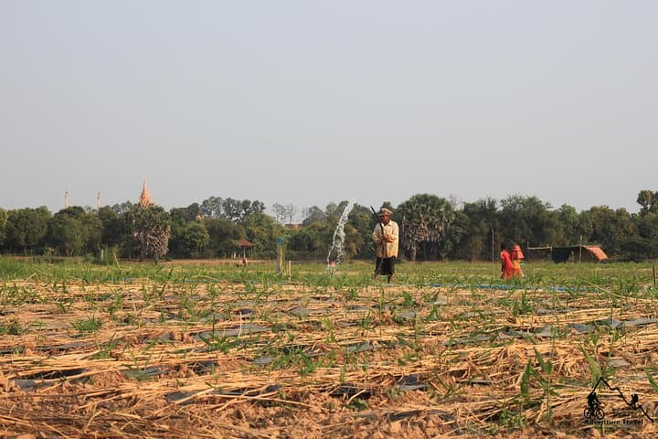 Silk Island Tuk Tuk: Mekong Villages, Weaving & Riverside Lunch near Phnom Penh photo 5