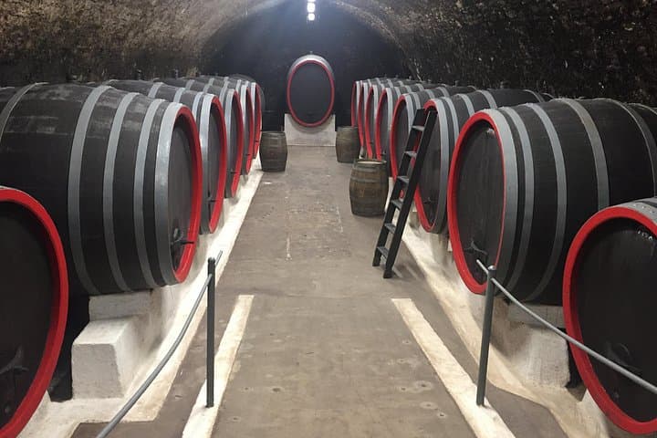 Bohemia Wine Tour from Prague: Private Day to Chateaux, Cellars & Vineyards