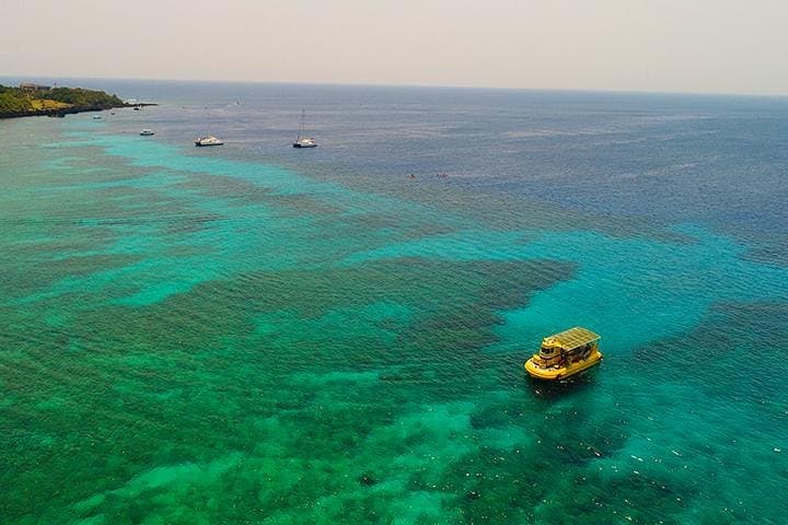 Roatán Glass-Bottom Boat & West Bay: Monkeys, Sloths and a Chocolate Stop photo 5