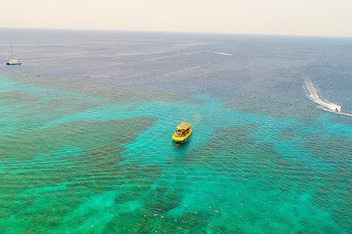 Roatán Glass-Bottom Boat & West Bay: Monkeys, Sloths and a Chocolate Stop photo 4