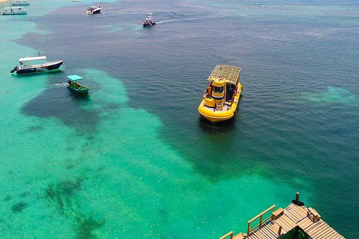 Roatán Glass-Bottom Boat & West Bay: Monkeys, Sloths and a Chocolate Stop photo 6