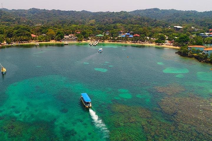 Roatán Glass-Bottom Boat & West Bay: Monkeys, Sloths and a Chocolate Stop photo 3