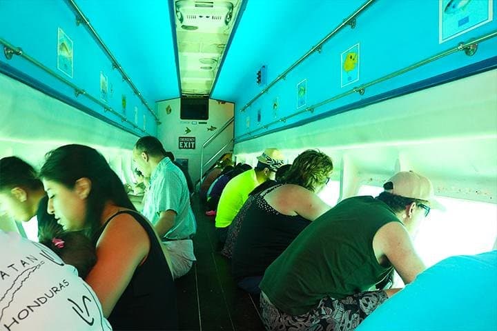Roatán Glass-Bottom Boat & West Bay: Monkeys, Sloths and a Chocolate Stop
