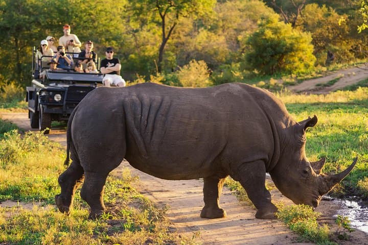 5-Day Kruger National Park Safari & Panorama Route from KMI