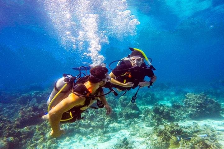 Roatan Shore Dive in Flowers Bay: Mesoamerican Reef Scuba Experience