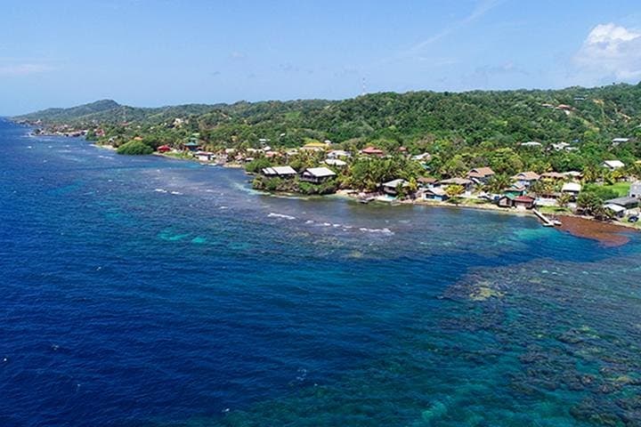 Roatan Shore Dive in Flowers Bay: Mesoamerican Reef Scuba Experience photo 3