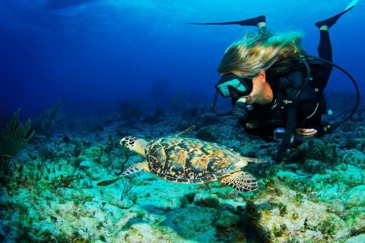 Roatan Shore Dive in Flowers Bay: Mesoamerican Reef Scuba Experience photo 4