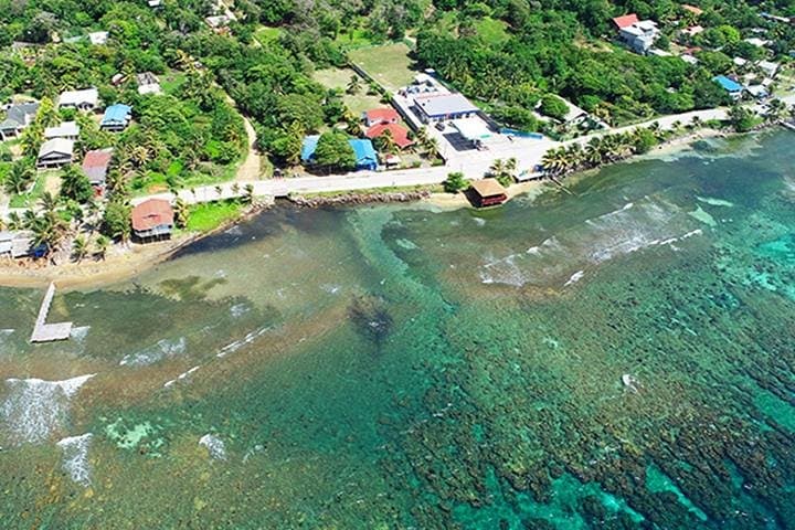 Roatan Shore Dive in Flowers Bay: Mesoamerican Reef Scuba Experience photo 5