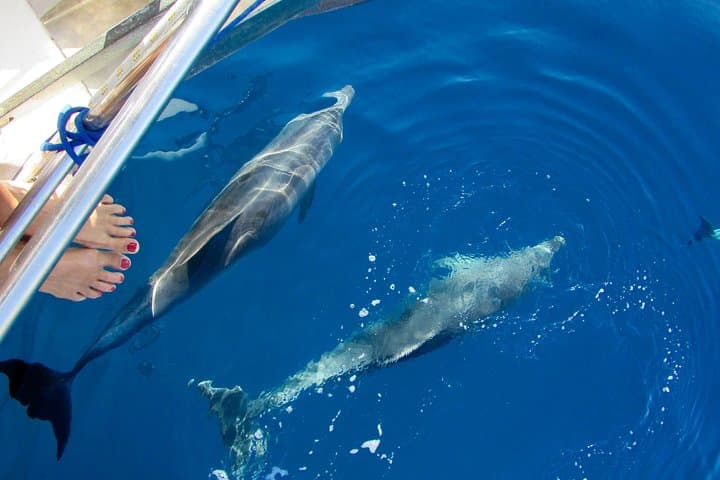 Luxury Cyclades Sailing Cruise with Private Chef — 8-Day Private Yacht photo 3