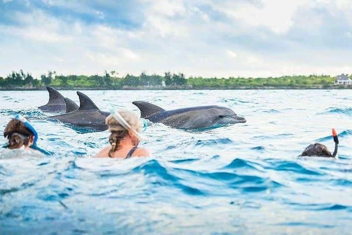 3-Day Zanzibar Beach Escape: Stone Town, Nungwi & Snorkeling photo 4