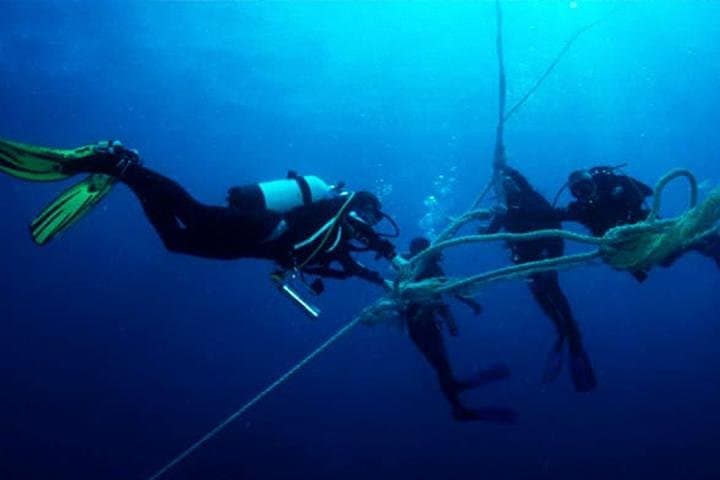 Private Dive Master 1-Tank SCUBA in Roatán — Guided Reef Dive with Transport photo 3