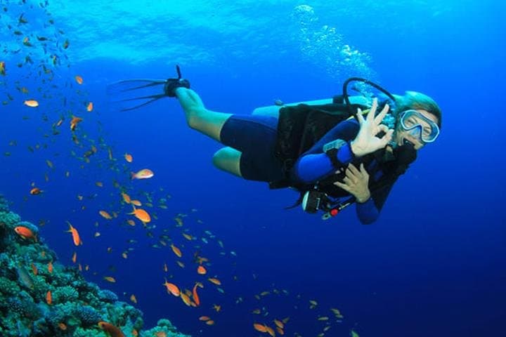 Private Dive Master 1-Tank SCUBA in Roatán — Guided Reef Dive with Transport photo 6